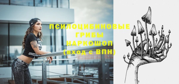 mdpv Краснотурьинск