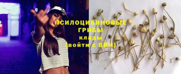 прущий лед Кулебаки