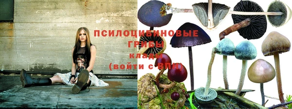 mdpv Краснотурьинск