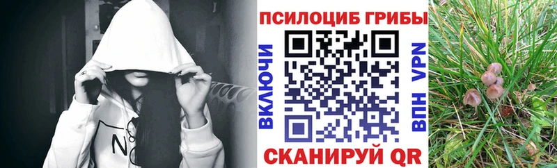 Псилоцибиновые грибы GOLDEN TEACHER  MEGA ТОР  Усть-Кут 