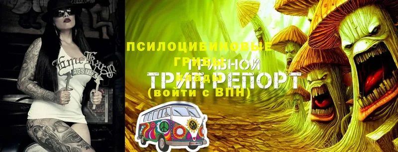 Псилоцибиновые грибы прущие грибы  mega tor  Усть-Кут 