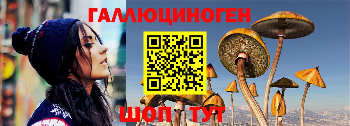 Галлюциногенные грибы Psilocybine cubensis  Усть-Кут 