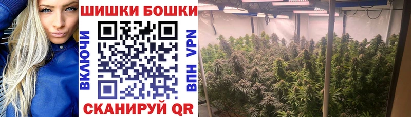 Шишки марихуана Bruce Banner  цены наркотик  Усть-Кут 